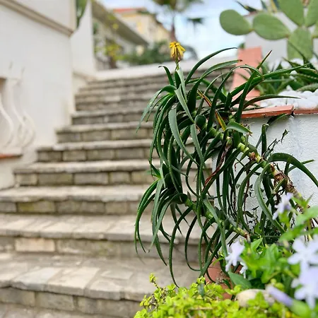 Avec Piscine, Baie De Bandol, Acces Villa Sanary-sur-Mer